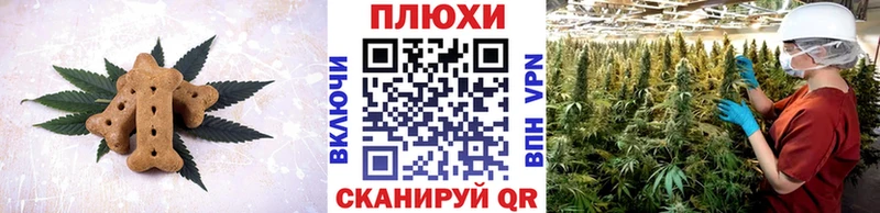 Canna-Cookies марихуана  hydra ссылка  Вязьма 