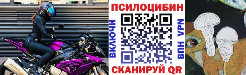Псилоцибиновые грибы прущие грибы  Вязьма 