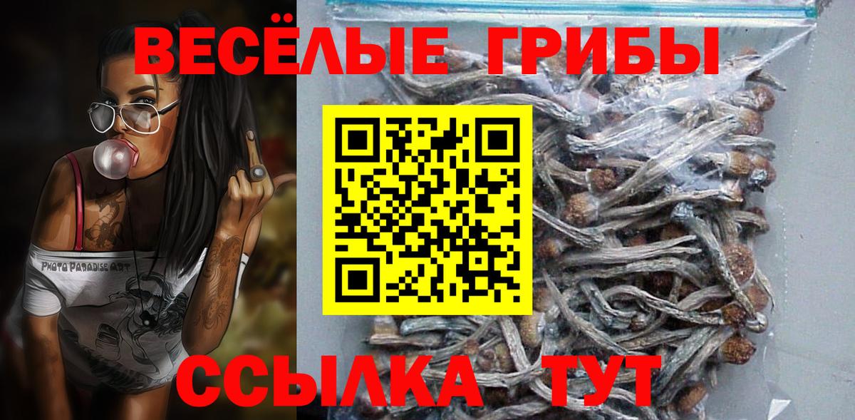Галлюциногенные грибы MAGIC MUSHROOMS Вязьма