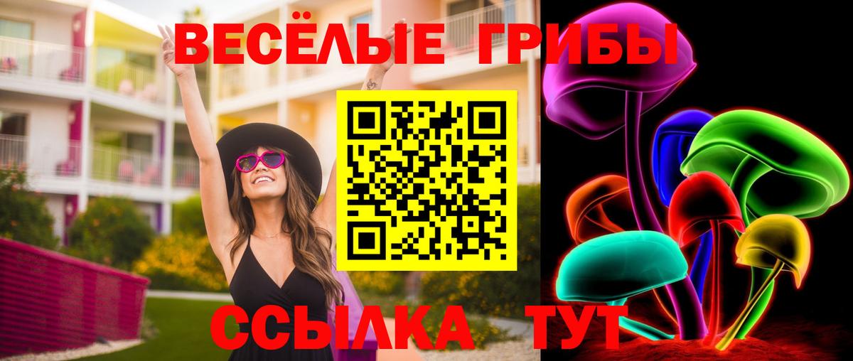 Вязьма  Галлюциногенные грибы ЛСД  Вход с VPN 